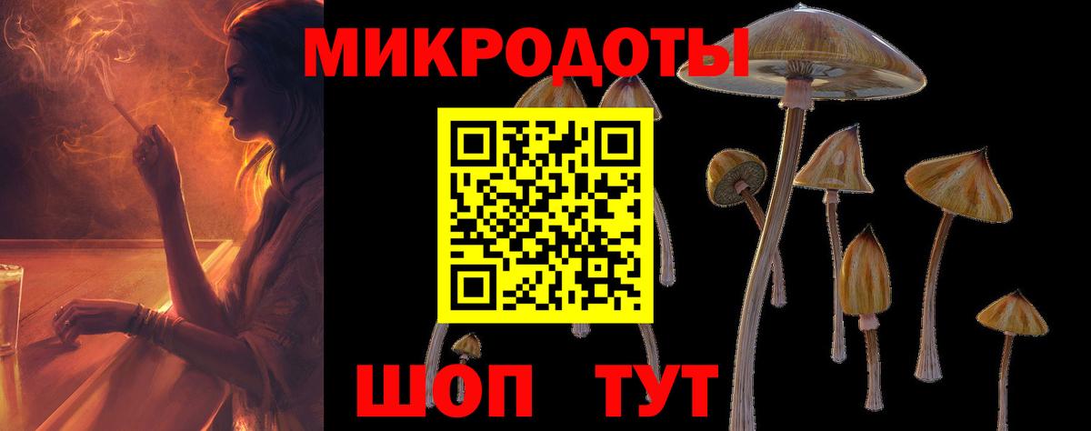 Псилоцибиновые грибы Psilocybe  где купить наркоту  Полысаево  Вход с VPN  Галлюциногенные грибы Cubensis 