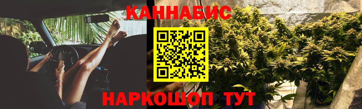 Бошки марихуана планчик Полысаево